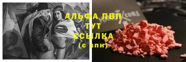 гидра Абинск