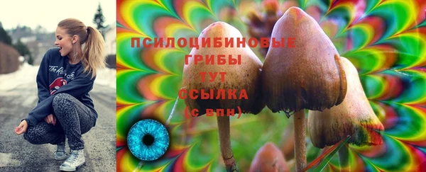 сатива Покровск